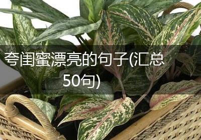 夸闺蜜漂亮的句子(汇总50句)