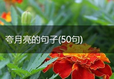 夸月亮的句子(50句)