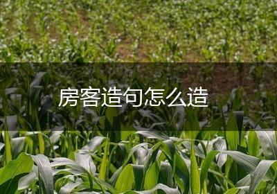 房客造句怎么造