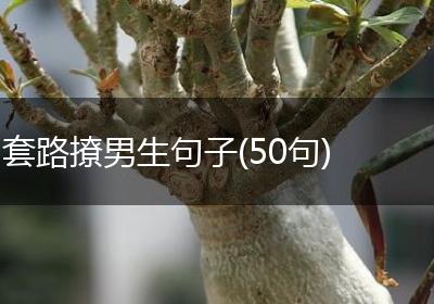套路撩男生句子(50句)