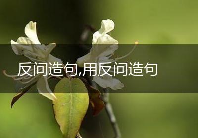 反间造句,用反间造句