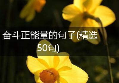 奋斗正能量的句子(精选50句)