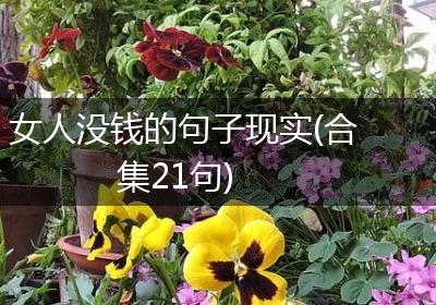 女人没钱的句子现实(合集21句)