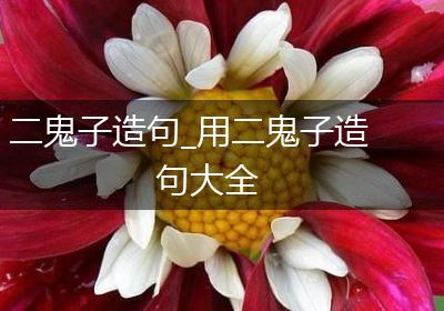 二鬼子造句_用二鬼子造句大全