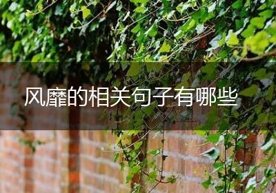 风靡的相关句子有哪些