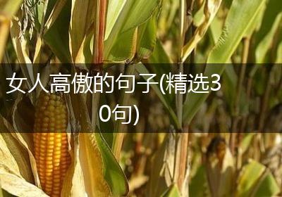 女人高傲的句子(精选30句)