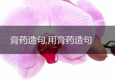 膏药造句,用膏药造句