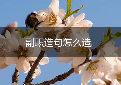 副职造句怎么造