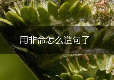 用非命怎么造句子