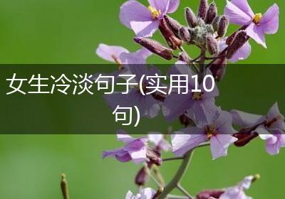 女生冷淡句子(实用10句)