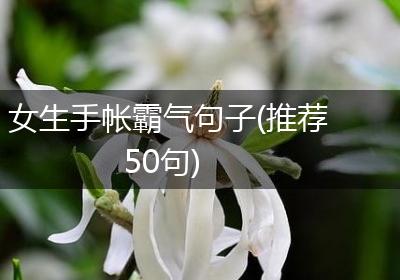 女生手帐霸气句子(推荐50句)