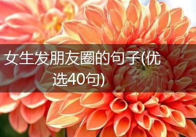 女生发朋友圈的句子(优选40句)