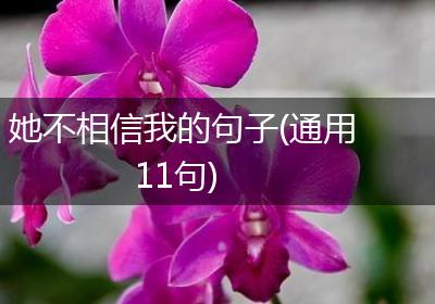 她不相信我的句子(通用11句)