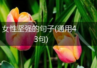 女性坚强的句子(通用43句)