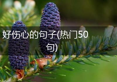 好伤心的句子(热门50句)
