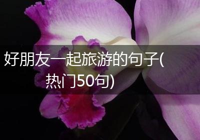 好朋友一起旅游的句子(热门50句)