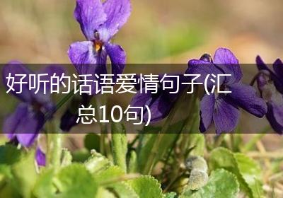 好听的话语爱情句子(汇总10句)