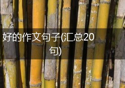 好的作文句子(汇总20句)