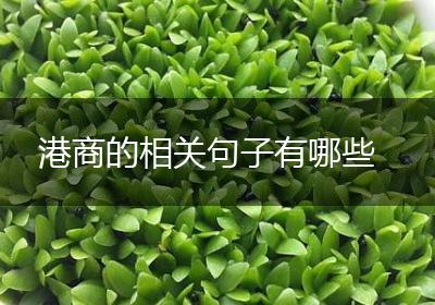 港商的相关句子有哪些