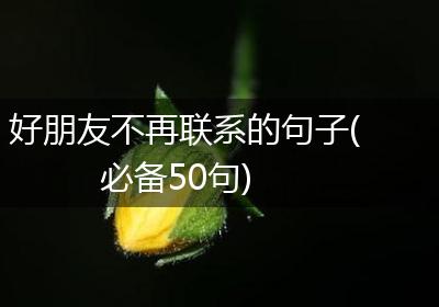 好朋友不再联系的句子(必备50句)