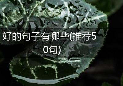 好的句子有哪些(推荐50句)