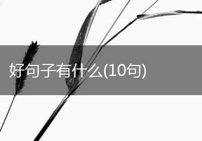 好句子有什么(10句)