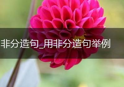 非分造句_用非分造句举例