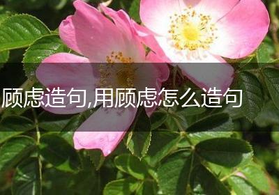 顾虑造句,用顾虑怎么造句