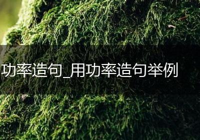 功率造句_用功率造句举例