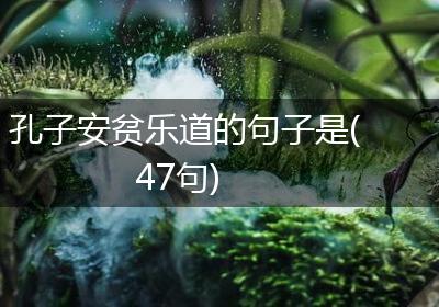 孔子安贫乐道的句子是(47句)