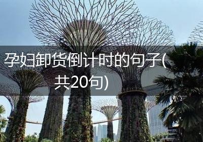 孕妇卸货倒计时的句子(共20句)