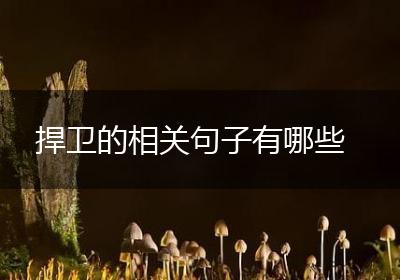 捍卫的相关句子有哪些