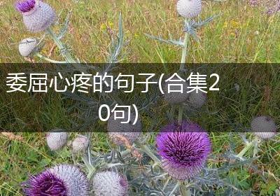 委屈心疼的句子(合集20句)