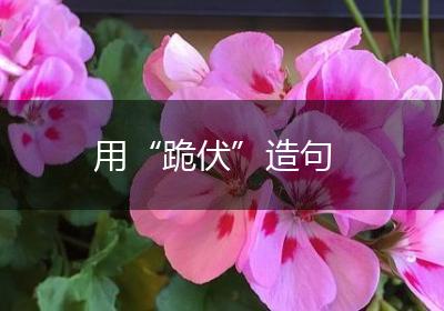 用“跪伏”造句