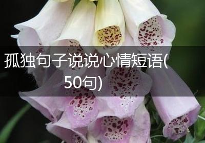 孤独句子说说心情短语(50句)