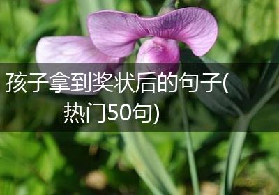 孩子拿到奖状后的句子(热门50句)