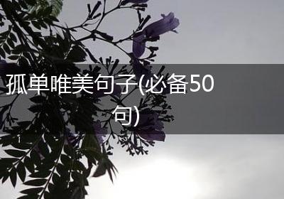 孤单唯美句子(必备50句)