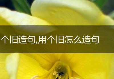 个旧造句,用个旧怎么造句