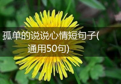孤单的说说心情短句子(通用50句)