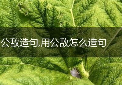 公敌造句,用公敌怎么造句