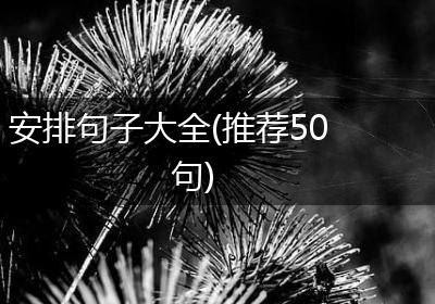 安排句子大全(推荐50句)