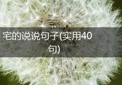 宅的说说句子(实用40句)