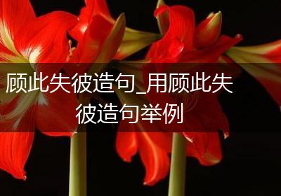 顾此失彼造句_用顾此失彼造句举例