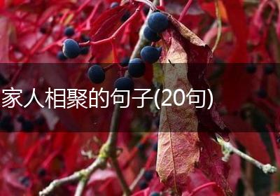 家人相聚的句子(20句)