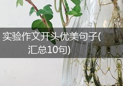 实验作文开头优美句子(汇总10句)