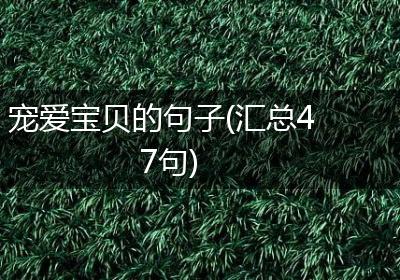 宠爱宝贝的句子(汇总47句)
