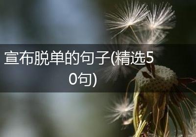 宣布脱单的句子(精选50句)
