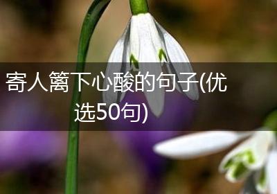 寄人篱下心酸的句子(优选50句)