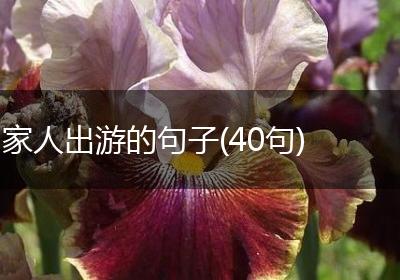 家人出游的句子(40句)