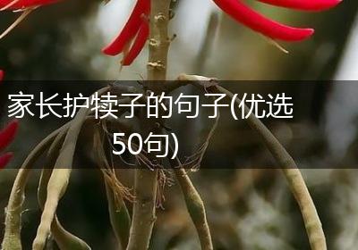 家长护犊子的句子(优选50句)